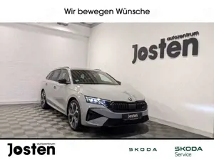 Skoda Octavia Combi RS 2.0TSI DCC AHK FahrAss+ Infotain+ Winter+