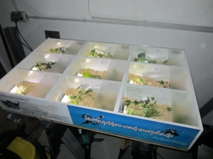 Börsen Display  Bild 4