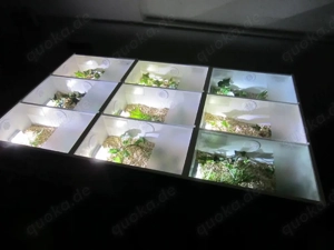 Börsen Display  Bild 3