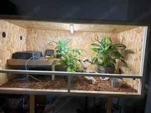 Terrarium 120x60x60 inkl kompl.Technick 