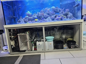 750L Aquarium Meerwasser  Süßwasser 