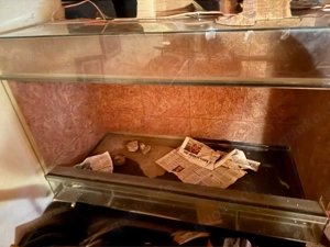 Glasterrarium 120x80x60