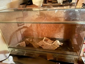 Glasterrarium 120x80x60