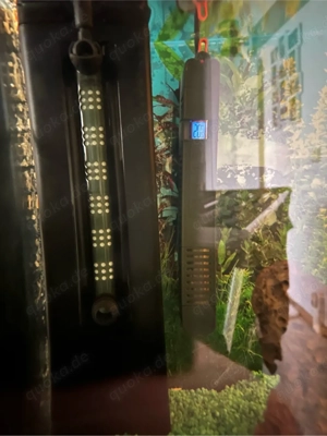 2 wasserschildkröten mit Aquarium Bild 4