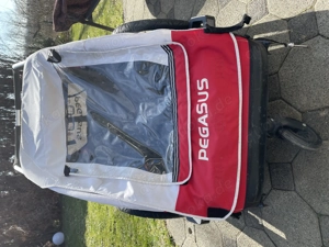 Kinder Fahrradanhänger Buggy Walker für 2Kinder, Qualität von Pegasus