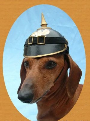 Ich suche Orden und Militaria