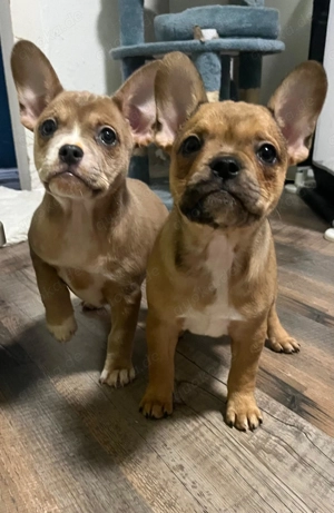 Nur noch 2 retro bully Mädchen 