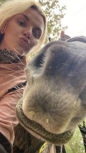 Mobile Tierbetreuung