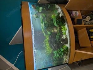 Aquarium zu verkaufen 
