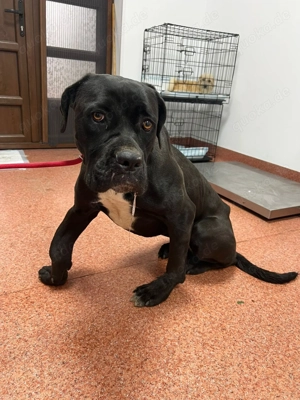 Rita - wer sieht hinter das Handicap?