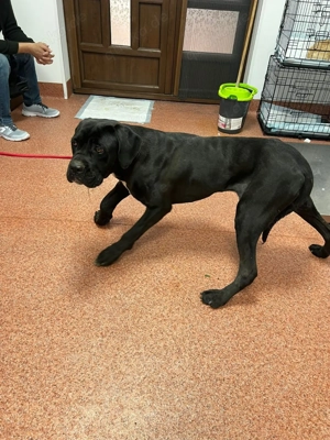 Rita - wer sieht hinter das Handicap? Bild 6