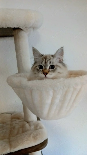 Hallo ich bin Louisa 