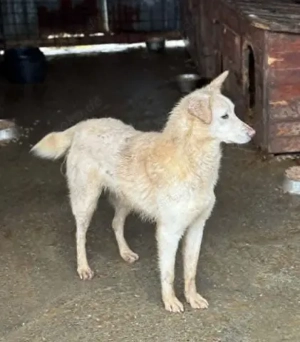 Hübsche Claire - sucht Geduld und Liebe