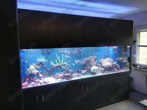 Meerwasser Aquarium Auflösung 