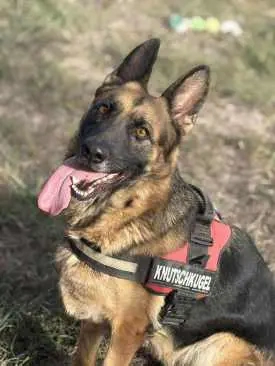 Zoe sucht neuen Wirkungskreis