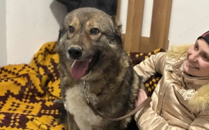 Loyale Raya sucht ländliches Zuhause Bild 2