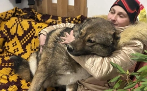 Loyale Raya sucht ländliches Zuhause Bild 3