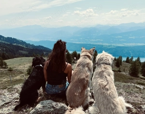 Hundebetreuung mit Herz!