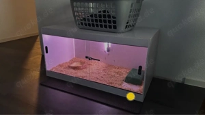 Terra-Plus Terrarium 100x50x50