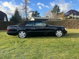 Mercedes-Benz E 320 E 320