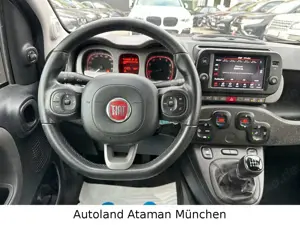 Fiat Panda Cross Klima / Leder / Sitzhzg / PDC / Eur6 Bild 5