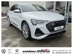 Audi e-tron 55 quattro 300 kW S line *LED*BO*PDC*