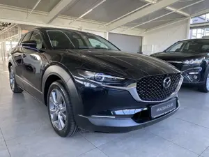 Mazda CX-30 2.5 Exclusive AUTOMATIK Matrix, Bose, 360°, PDC, L