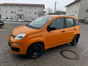 Fiat Panda Panda 1,2 8V Easy