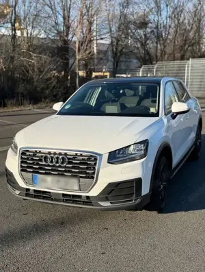 Audi Q2 30 TSFI - Panormadach - 8fach bereift