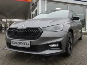Skoda Fabia Monte Carlo LED Kamera Sportsitze