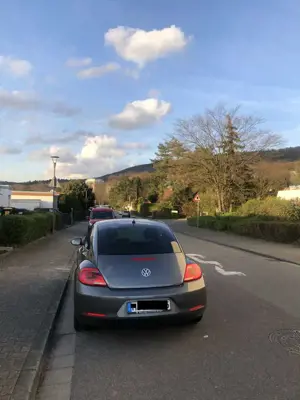 Volkswagen Beetle Bild 3