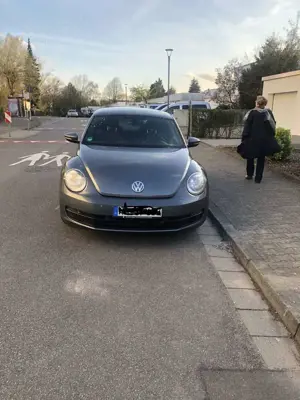 Volkswagen Beetle Bild 4