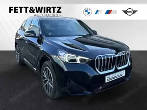 BMW X1 sDrive18i M Sportpaket|Parkass.|18"LMR