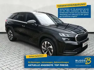 Skoda Kodiaq 2.0 TDI DSG Selection 7Si AHK Navi beh.LR