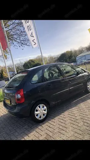 Citroen Xsara Picasso 1.6i SX Bild 5