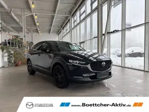 Mazda CX-30 Homura PDC v+h Kamera SHZ Navi ACC