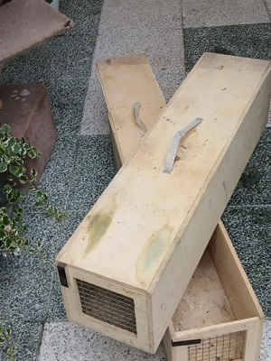 Große Transportkisten abzugeben Bild 2