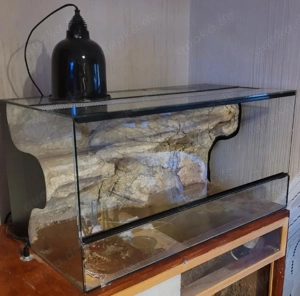 Glasterrarium mit Rückwand 