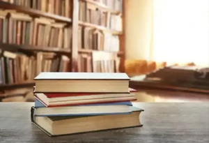 Übersetzer Helferin 