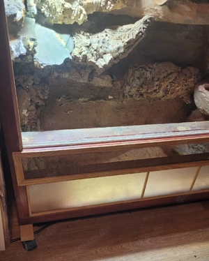 Holz Terrarium mit HID Lampe und LED T 45 cm H 105 cm B 90 cm auf Rollen 