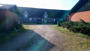 Jahrespraktikant   in gesucht 