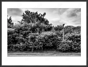 Fine Art Prints im Nielsen-Alurahmen Bild 10