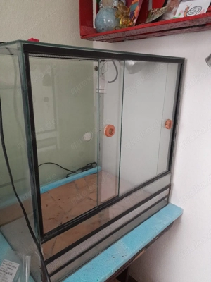 grosses Terrarium mit Lampe 