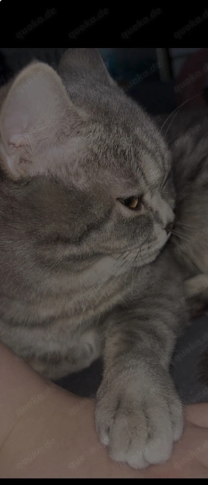 Bkh Kater (müssen uns leider ab Sonntag von ihm trennen ) 