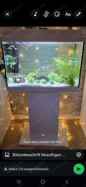 Aquarium unter Tisch 
