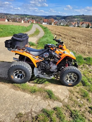  Krankheitsbedingt zu verkaufen 