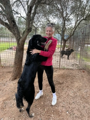 Mischlingsrüde Macho sucht sein Zuhause Bild 7