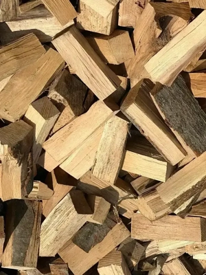 Brennholz Buche oder Nadelholz