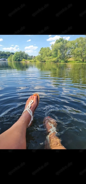 Feed an Socks und mehr