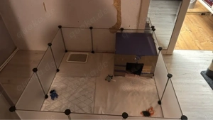 Katzen- Kleintierkäfig zu verkaufen 